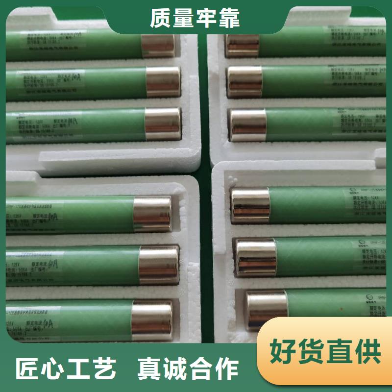 高压熔断器BR-4应急照明配电箱支持定制批发