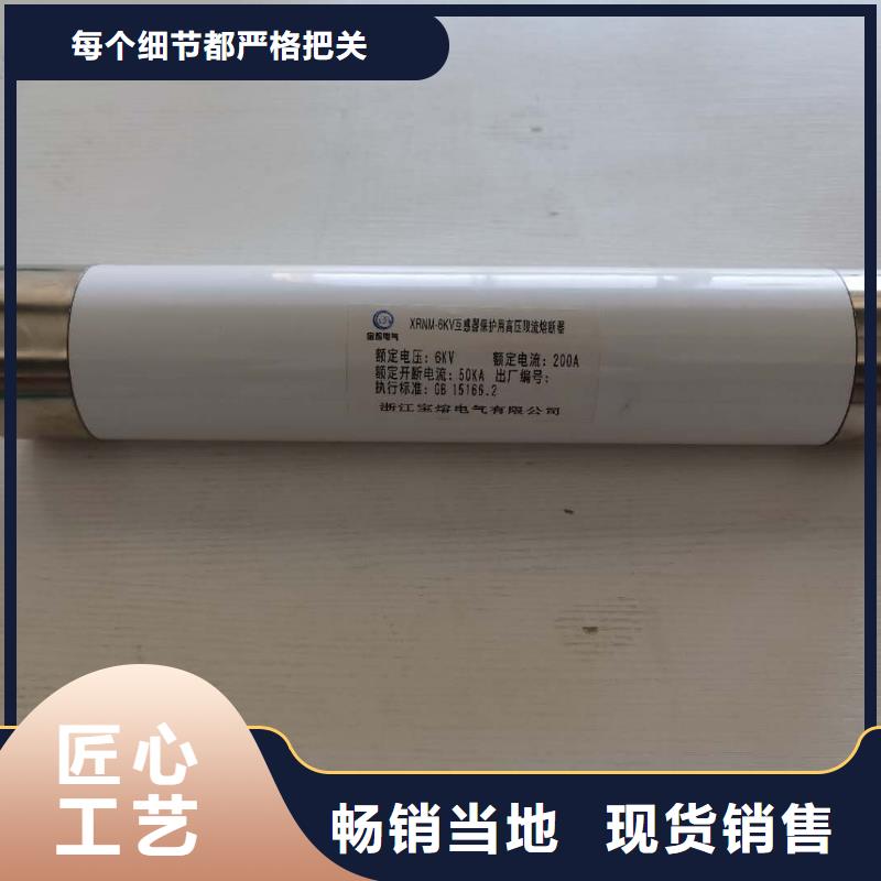 高压熔断器BR-4应急照明配电箱支持定制批发