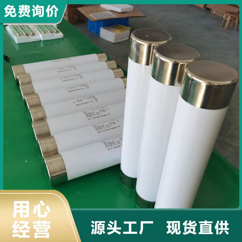高压熔断器高压接地开关实力商家