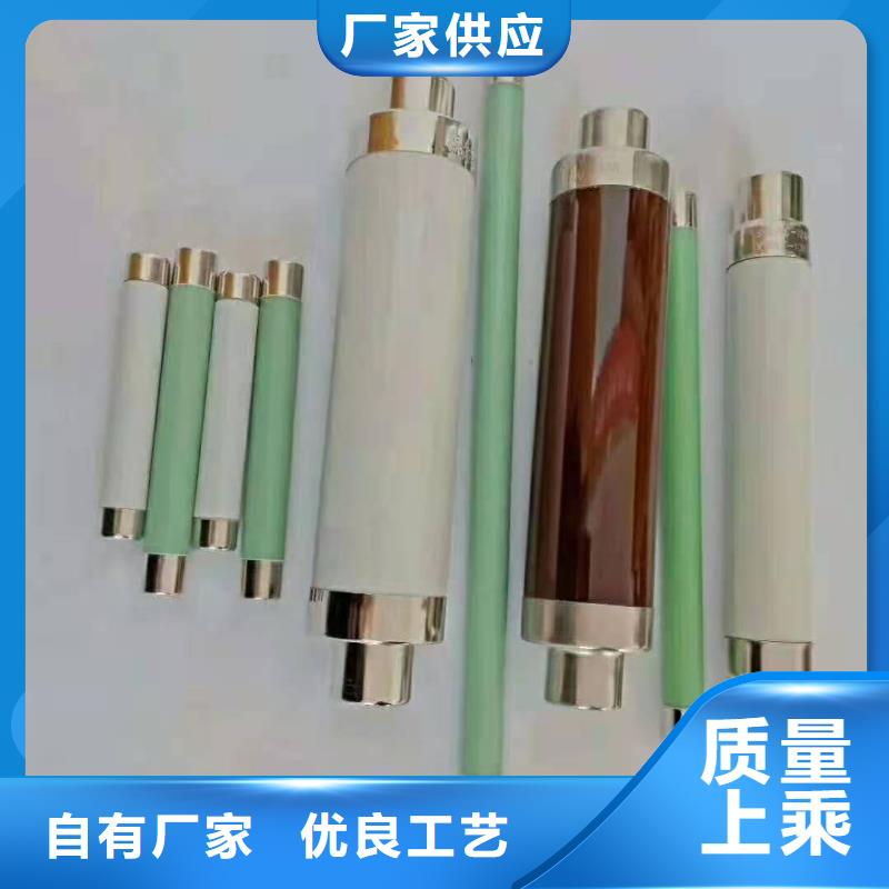 高压熔断器,XRNT-12KV熔断器真诚合作