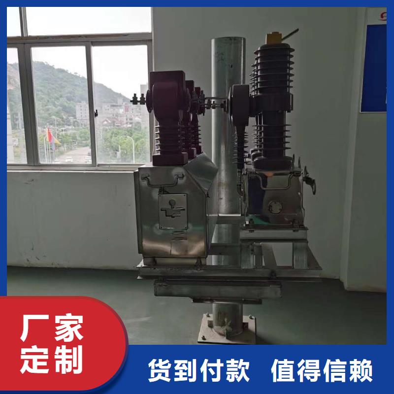 真空断路器高压保险丝保险管高性价比