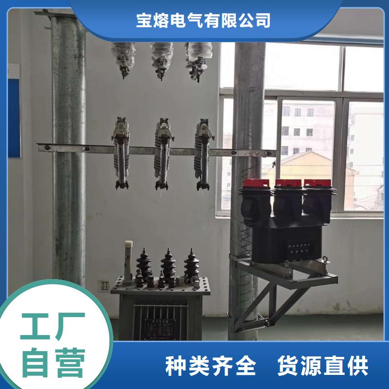 真空断路器高压保险丝保险管高性价比