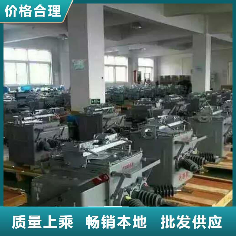 真空断路器高压保险丝保险管高性价比