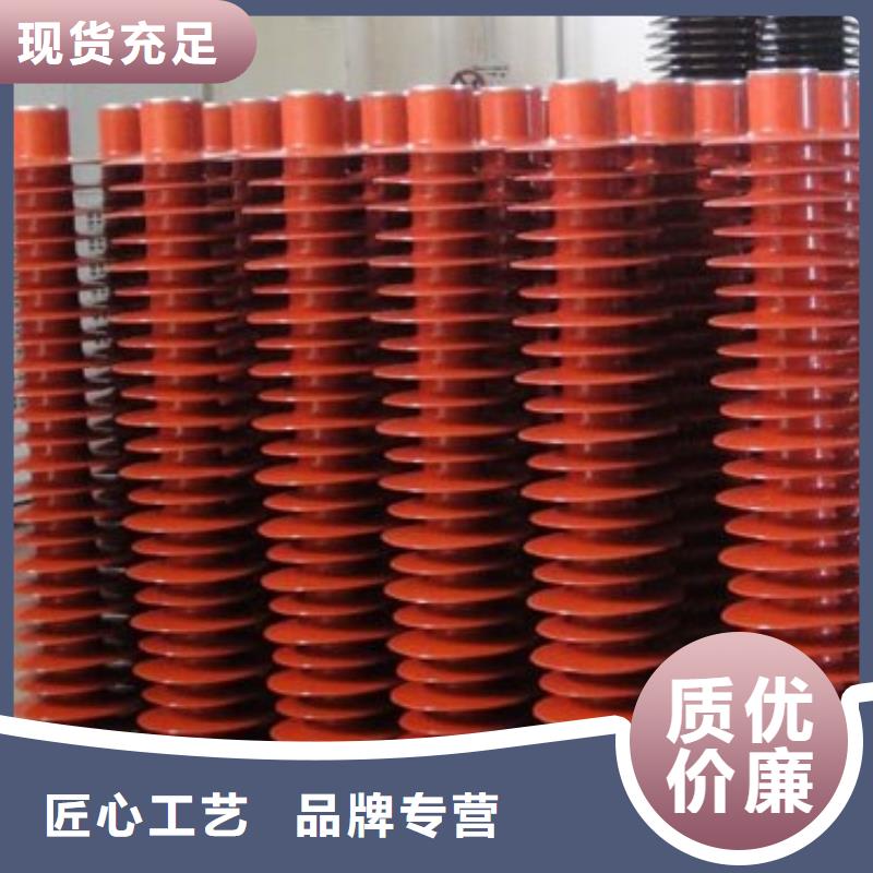 氧化锌避雷器户外高压真空断路器精工细作品质优良
