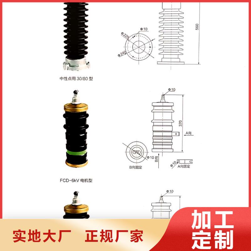 氧化锌避雷器FKN12-12/630A口碑好实力强