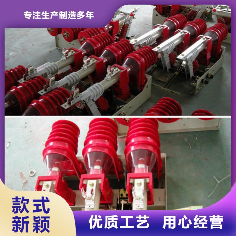 高压负荷开关-高压接地开关大厂家实力看得见