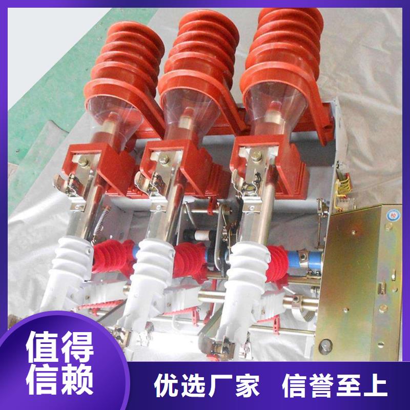 高压负荷开关-高压接地开关大厂家实力看得见