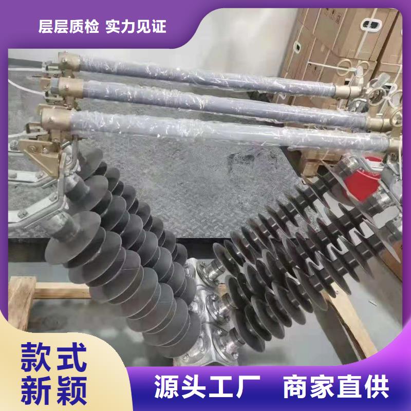 跌落式熔断器户外高压真空断路器根据要求定制