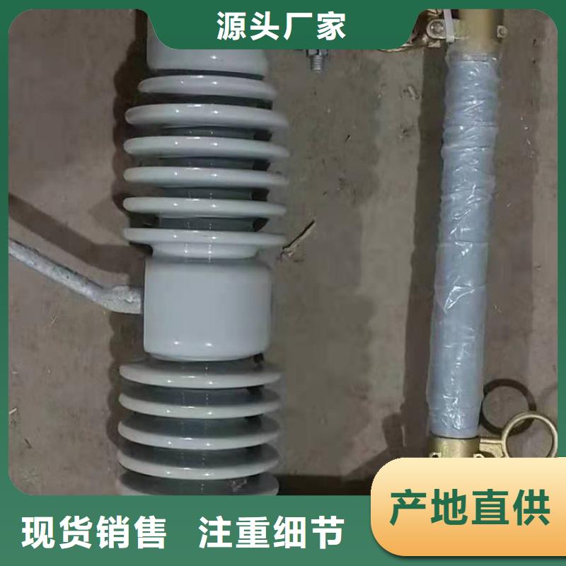 跌落式熔断器BR-4应急照明配电箱行业优选