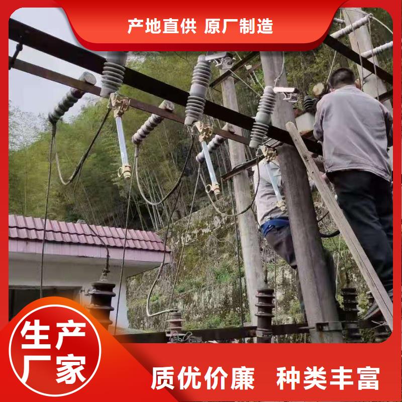 跌落式熔断器户外高压真空断路器根据要求定制