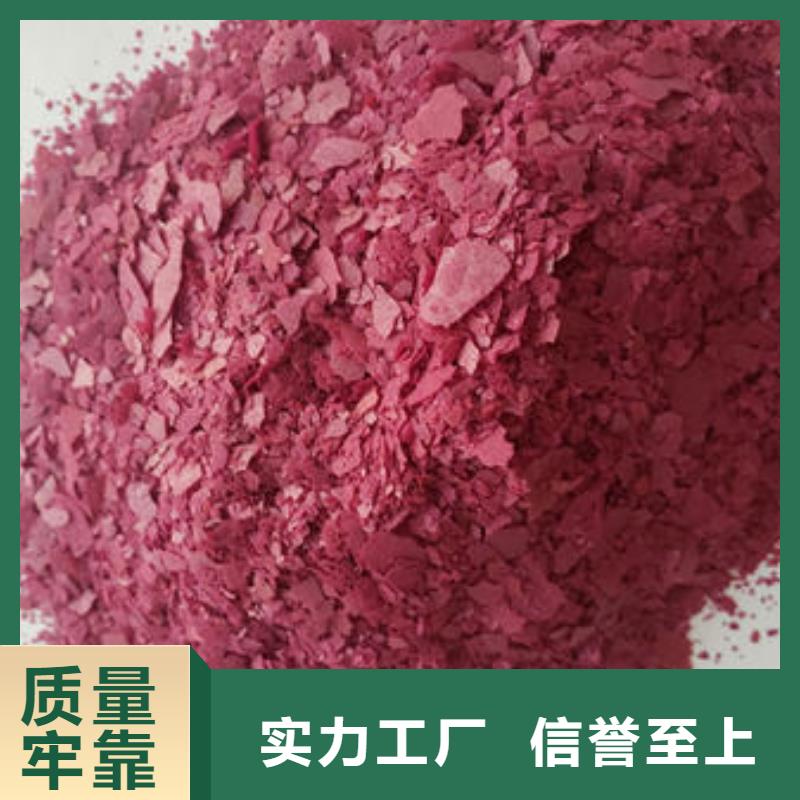 紫薯粉-羽衣甘蓝粉厂家直销值得选择