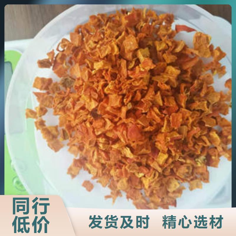 南瓜丁视频-南瓜丁|定西市|通渭|漳县|白银|兰州|天水|甘南|平凉