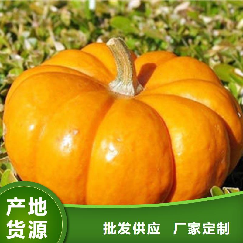 【南瓜丁_羽衣甘蓝粉真材实料诚信经营】