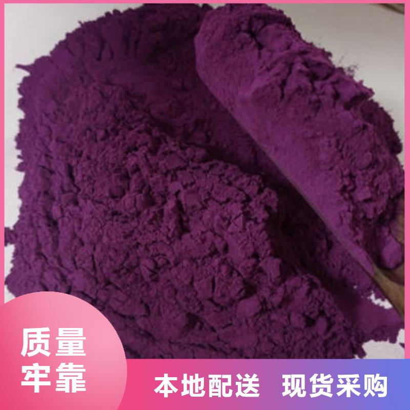 南瓜丁视频-广东省珠海市|斗门|金湾|深圳|汕尾|阳江|茂名南瓜丁-乐农