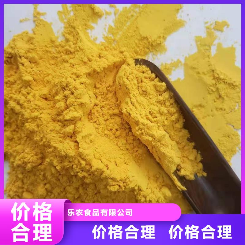 南瓜全粉欢迎订购