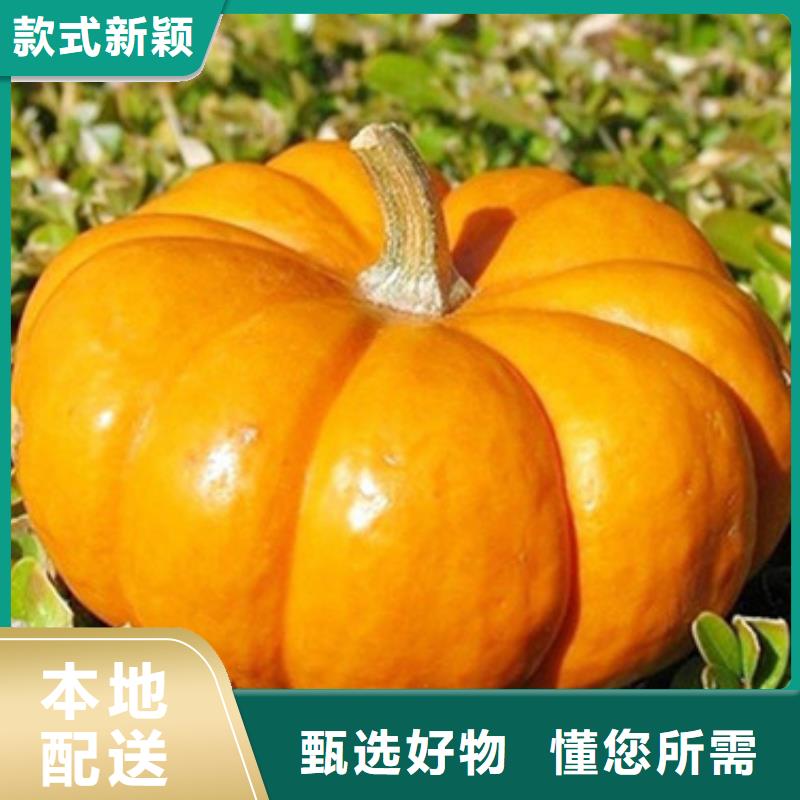 无皮南瓜粒放心选择