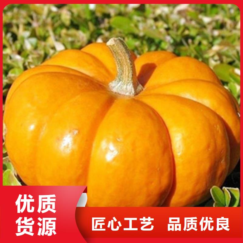 无皮南瓜粒品质放心