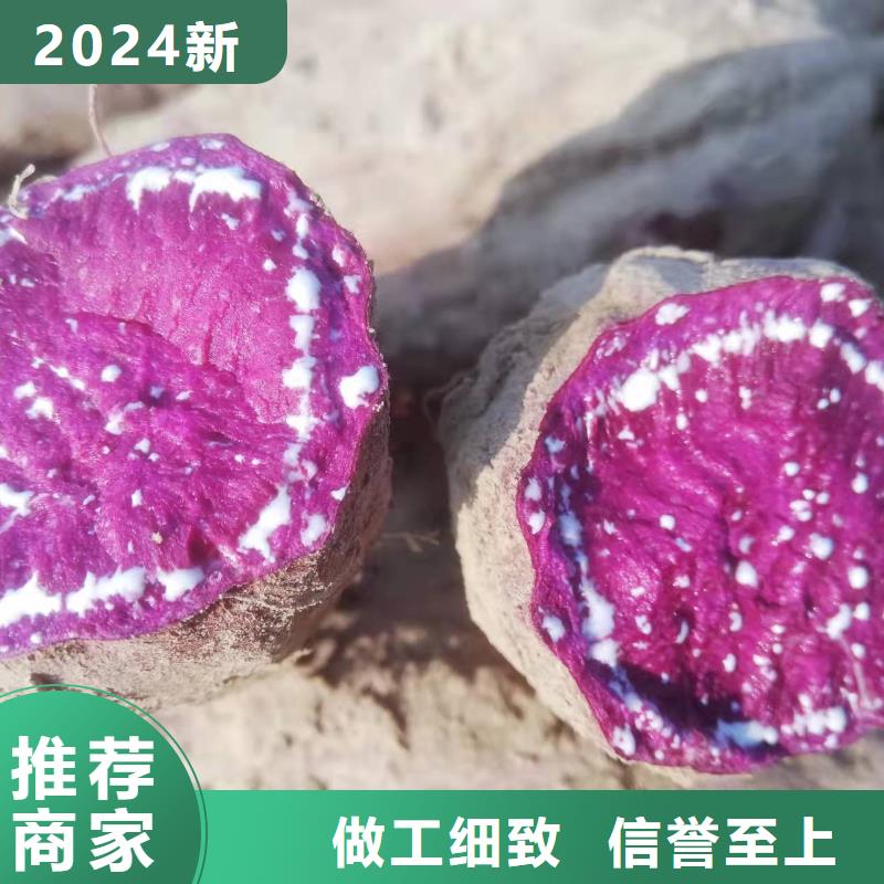 羽衣甘蓝粉视频-羽衣甘蓝粉|阿坝市|茂县|小金|内江|宜宾|广安|成都|绵阳|遂宁