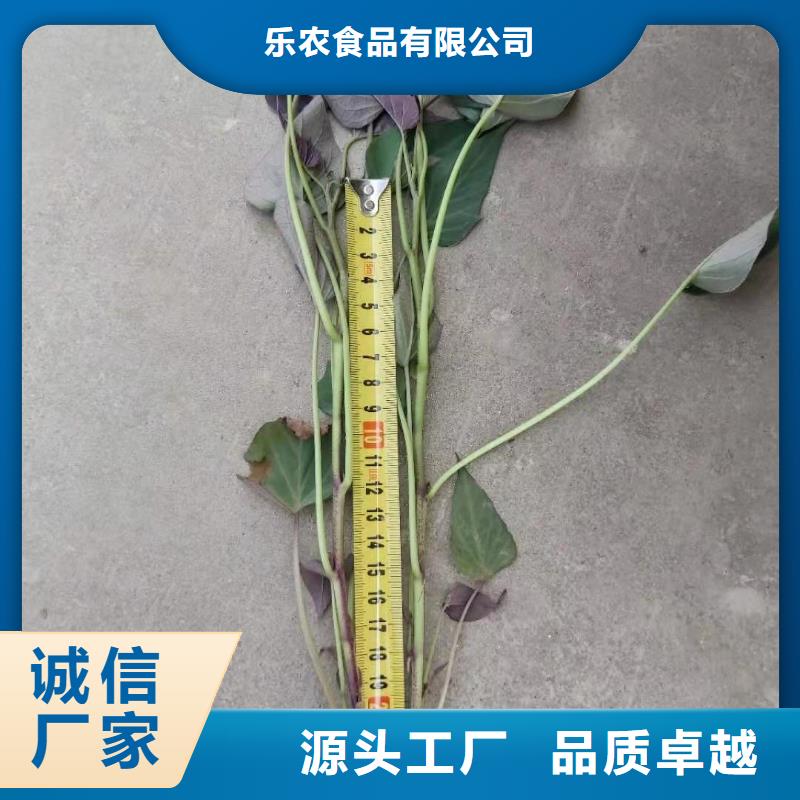 羽衣甘蓝粉视频-羽衣甘蓝粉|阿坝市|茂县|小金|内江|宜宾|广安|成都|绵阳|遂宁