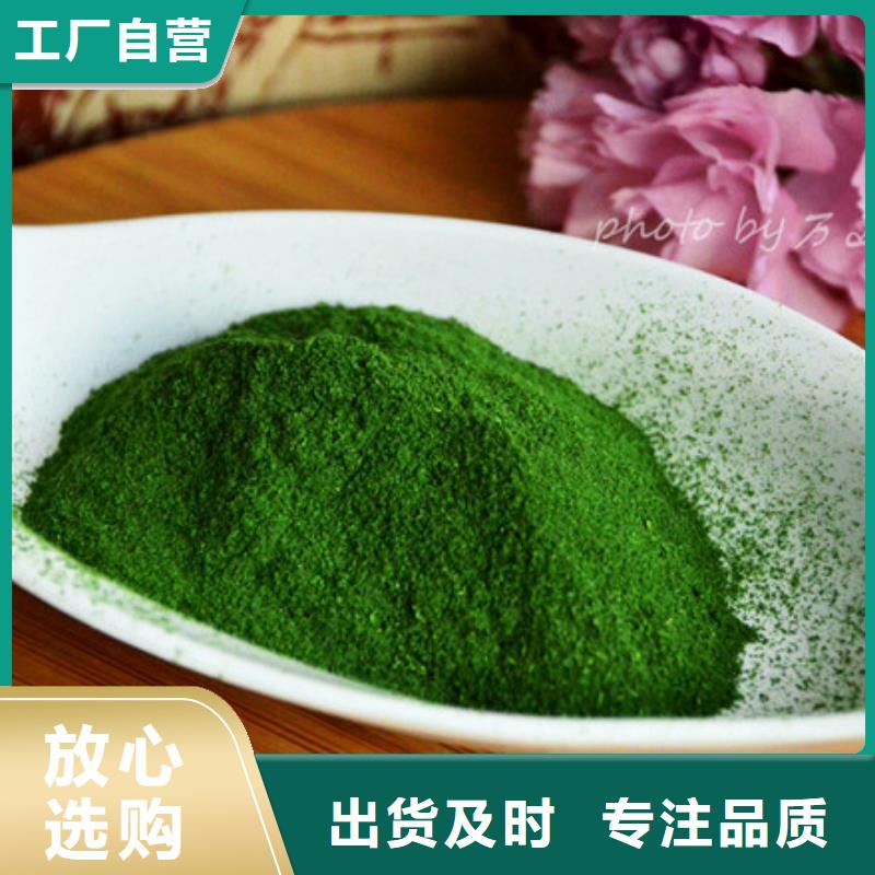 乐东县菠菜熟粉正规厂家