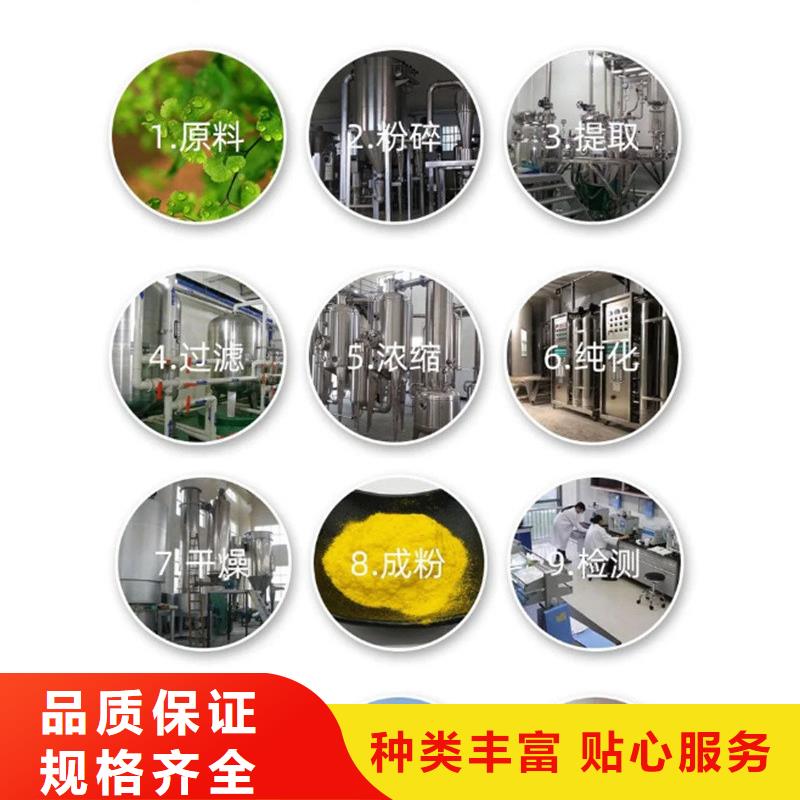 现货供应甘蓝粉_实力厂家
