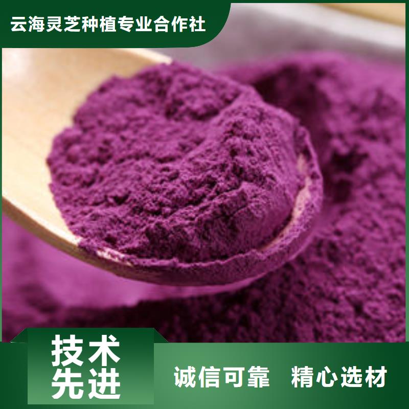 紫薯粉灵芝切片高质量高信誉