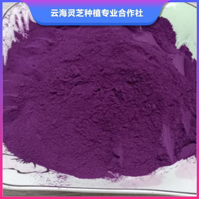 紫薯粉灵芝切片高质量高信誉