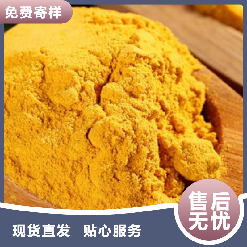【南瓜粉灵芝菌种专注生产制造多年】