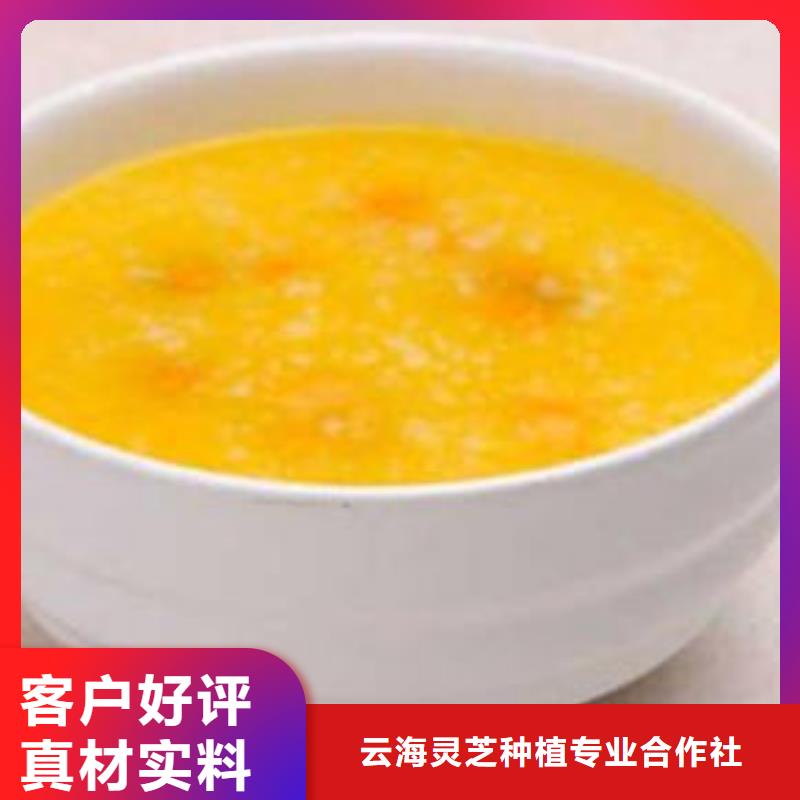 南瓜丁大别山灵芝为您提供一站式采购服务