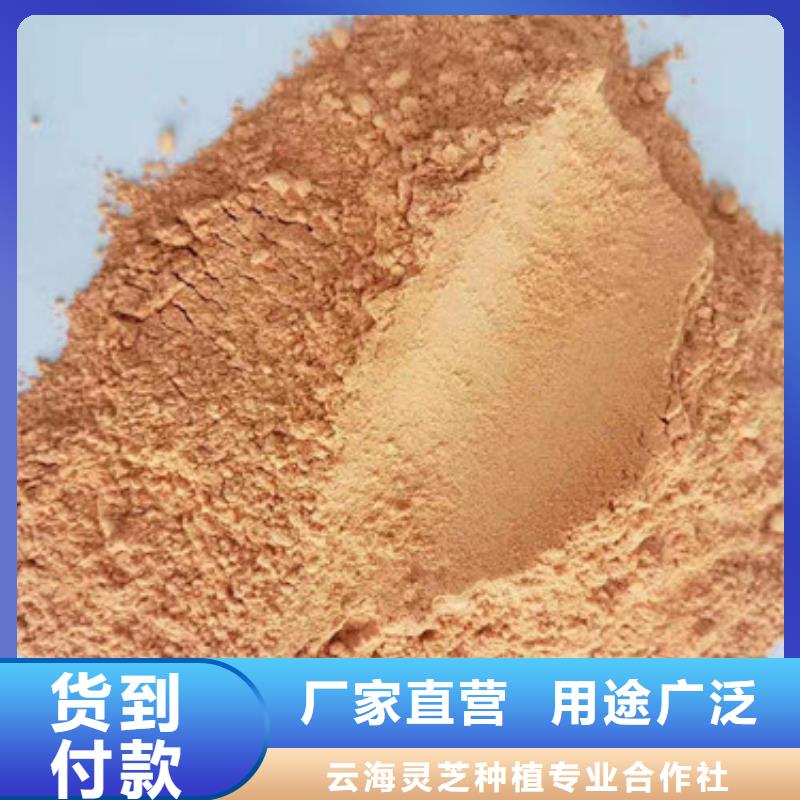 【胡萝卜粉】无硫野生黑灵芝无中间商厂家直销