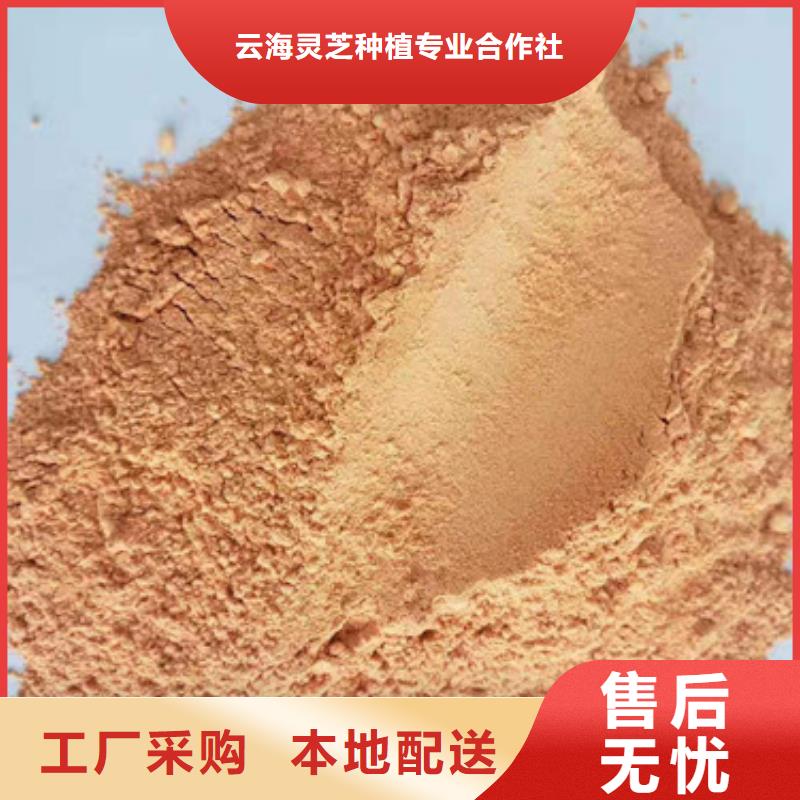 【胡萝卜粉】无硫野生黑灵芝无中间商厂家直销