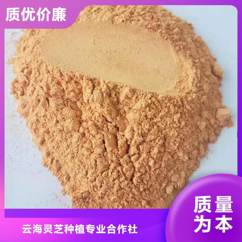 【胡萝卜粉】无硫野生黑灵芝无中间商厂家直销