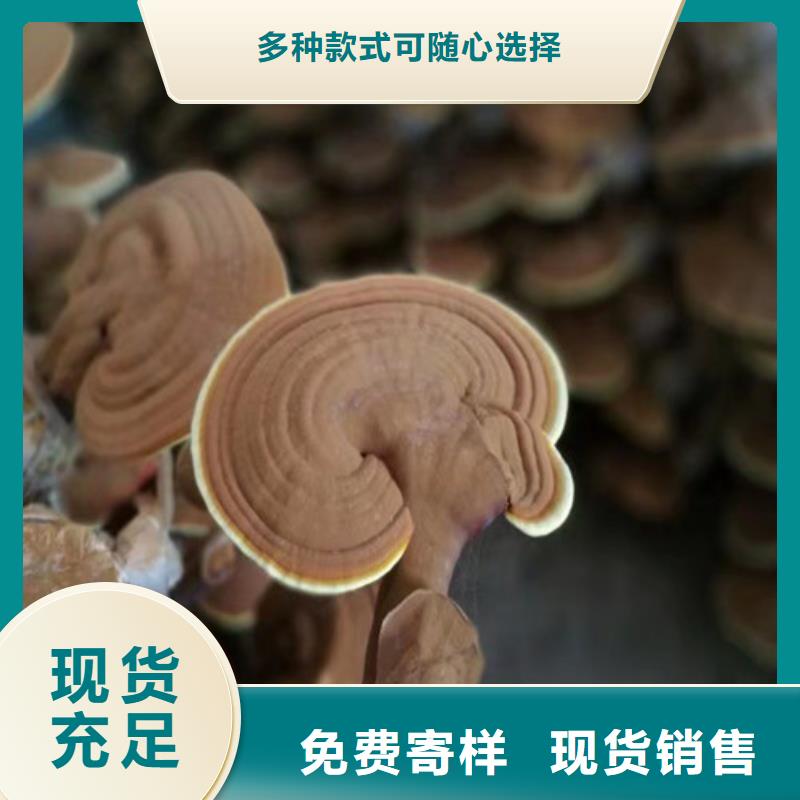 有机孢子粉视频-恩施市有机孢子粉-【当地】可服务区域宣恩|利川|咸宁|鄂州|黄石|随州|荆州|十堰|黄冈