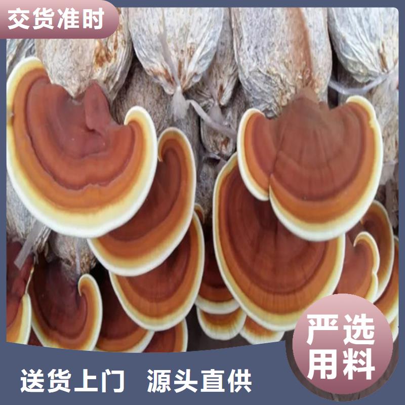 有机孢子粉视频-有机孢子粉-湖北省十堰市(该地)服务商-茅箭|郧县|恩施|随州|咸宁|黄石|襄阳