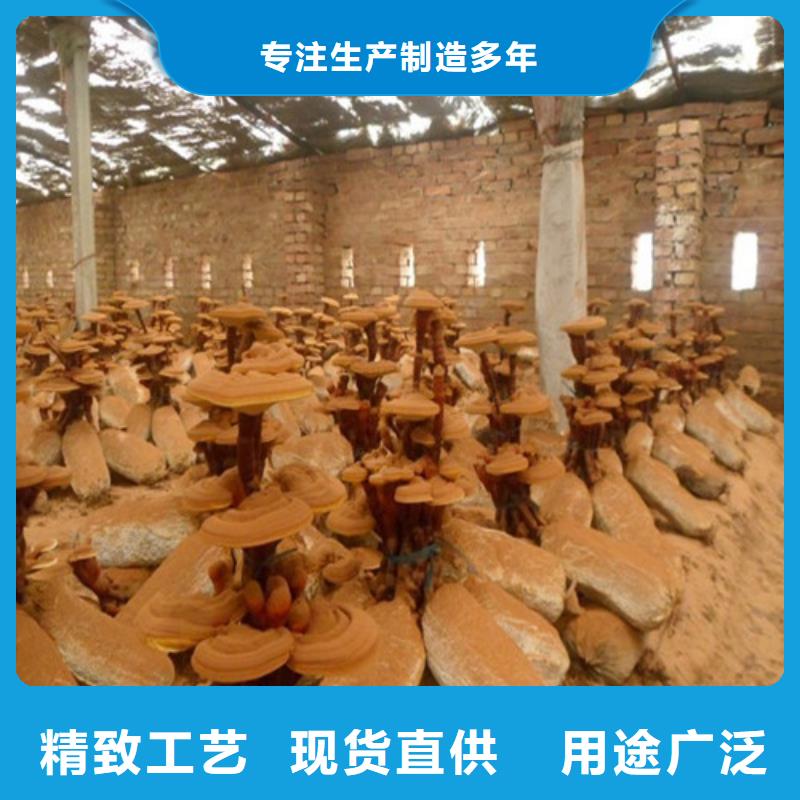 有机孢子粉视频-有机孢子粉-青海省海西市黄南|玉树|果洛|海东|海北该地货源