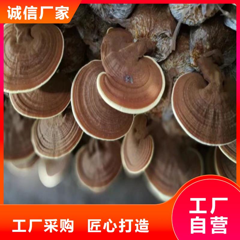 有机孢子粉视频-有机孢子粉-湖北省十堰市(该地)服务商-茅箭|郧县|恩施|随州|咸宁|黄石|襄阳