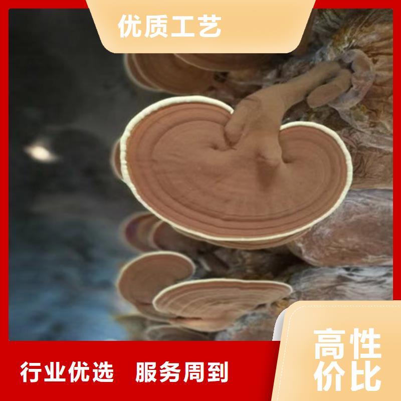 有机孢子粉视频-有机孢子粉-湖北省十堰市(该地)服务商-茅箭|郧县|恩施|随州|咸宁|黄石|襄阳