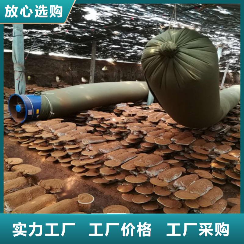有机孢子粉视频-有机孢子粉-甘肃省陇南市【周边】经销商-康县|徽县|兰州|临夏|庆阳|嘉峪关
