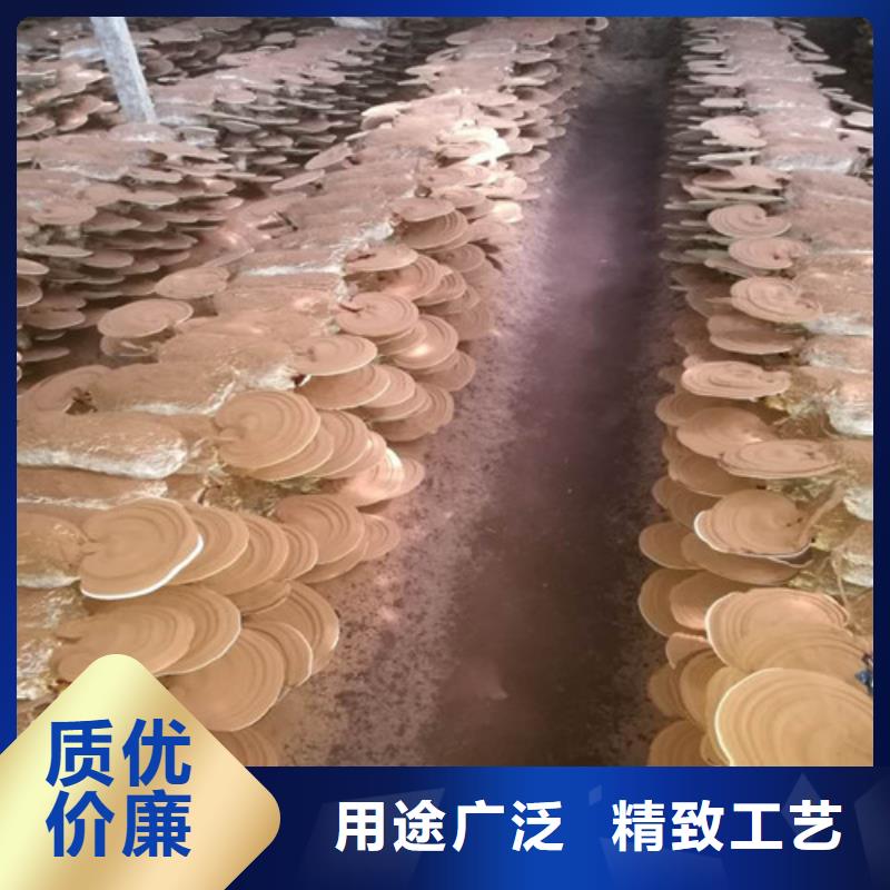 有机孢子粉视频-有机孢子粉-湖北省十堰市(该地)服务商-茅箭|郧县|恩施|随州|咸宁|黄石|襄阳
