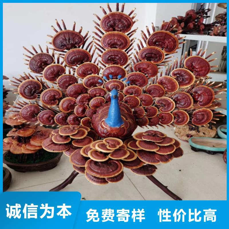 有机孢子粉视频-有机孢子粉-湖北省十堰市(该地)服务商-茅箭|郧县|恩施|随州|咸宁|黄石|襄阳