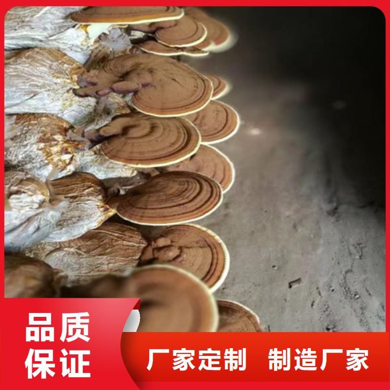 有机孢子粉视频-恩施市有机孢子粉-【当地】可服务区域宣恩|利川|咸宁|鄂州|黄石|随州|荆州|十堰|黄冈