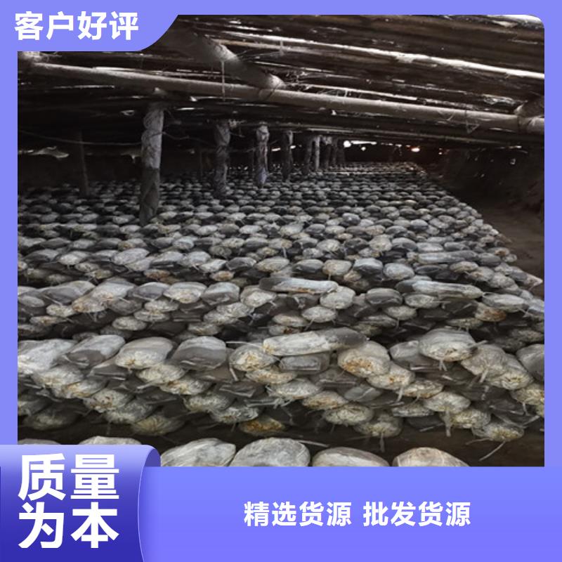 有机孢子粉视频-有机孢子粉-湖北省十堰市(该地)服务商-茅箭|郧县|恩施|随州|咸宁|黄石|襄阳