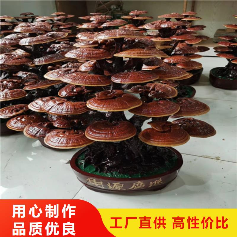 有机孢子粉视频-有机孢子粉-青海省海西市黄南|玉树|果洛|海东|海北该地货源