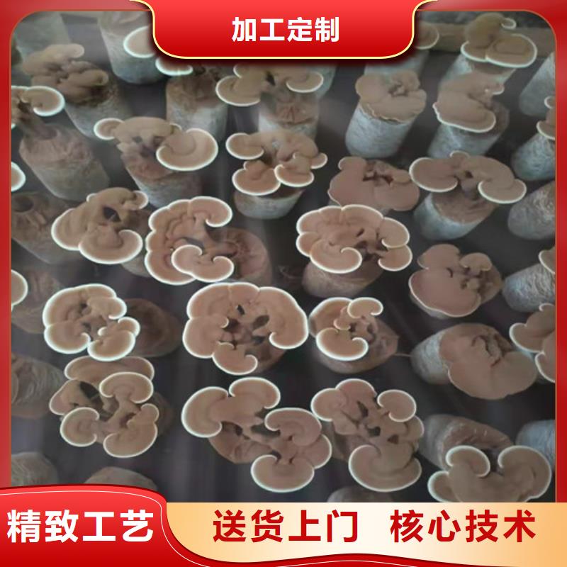 有机孢子粉视频-恩施市有机孢子粉-【当地】可服务区域宣恩|利川|咸宁|鄂州|黄石|随州|荆州|十堰|黄冈