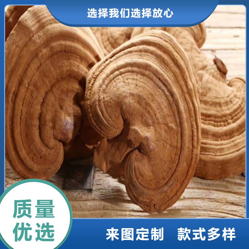 有机孢子粉视频-有机孢子粉-青海省海西市黄南|玉树|果洛|海东|海北该地货源