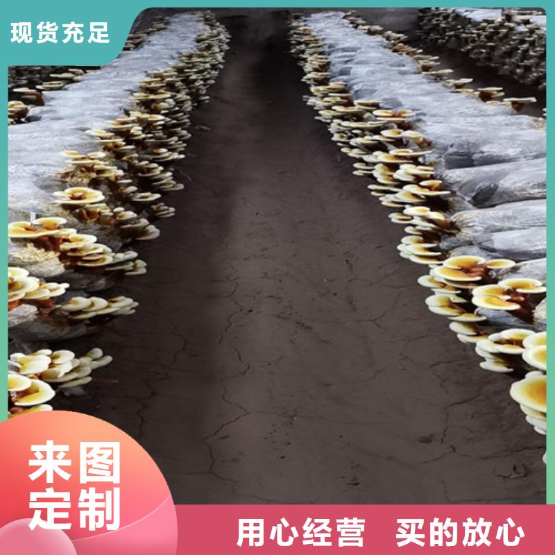 有机孢子粉视频-有机孢子粉-湖北省十堰市(该地)服务商-茅箭|郧县|恩施|随州|咸宁|黄石|襄阳