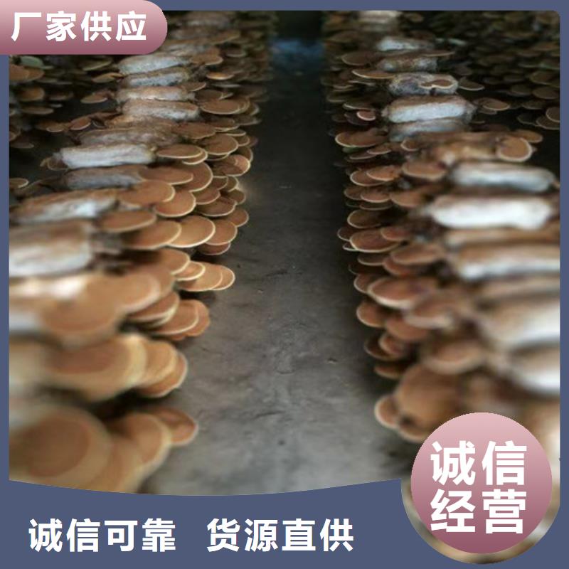 有机孢子粉视频-有机孢子粉-湖北省十堰市(该地)服务商-茅箭|郧县|恩施|随州|咸宁|黄石|襄阳