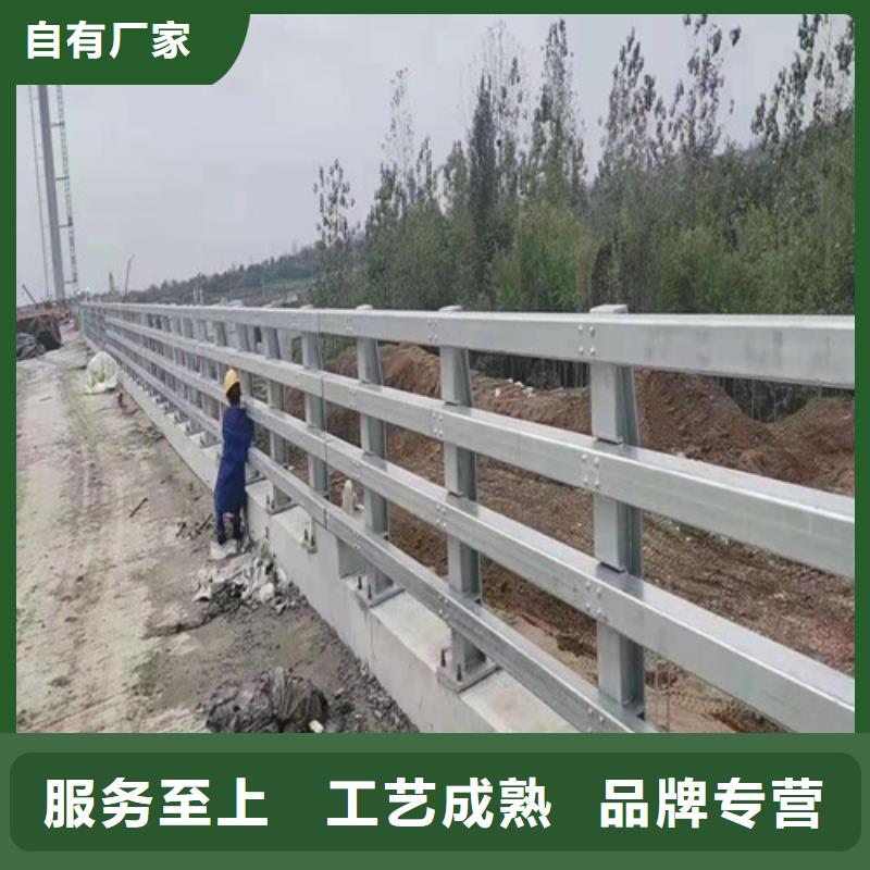 道路桥梁防撞护栏道路桥梁防撞护栏厂家欢迎新老客户垂询