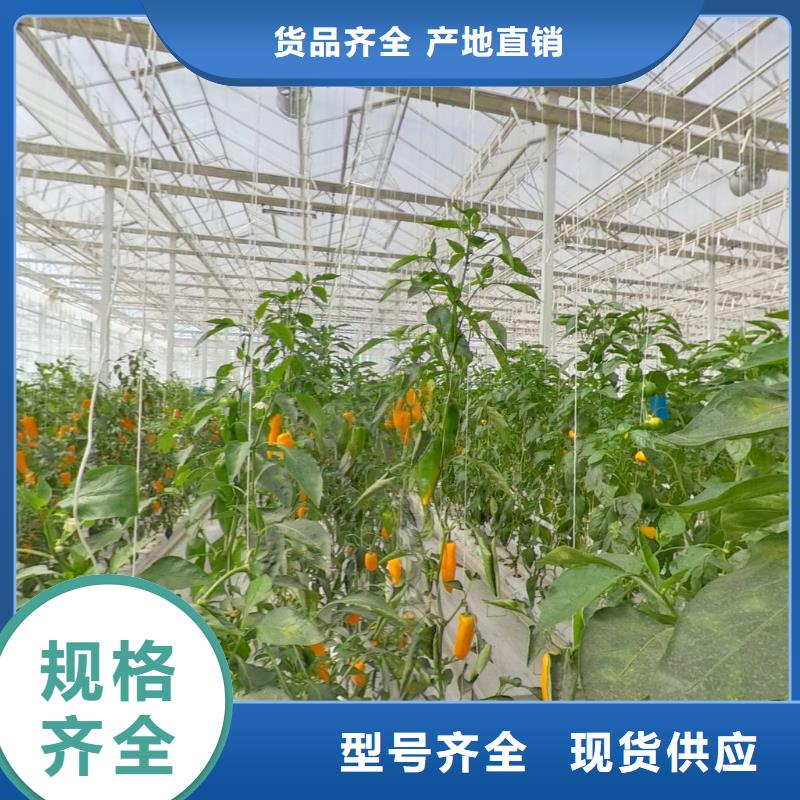 温室大棚管视频-温室大棚管|湖南省|怀化|岳阳|湘西|邵阳|郴州|湘潭