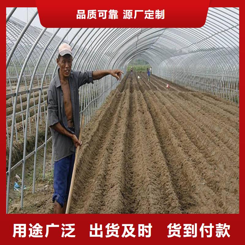 大棚管蔬菜温室大棚管选择我们选择放心